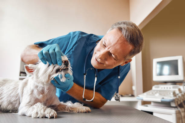 Best Broken or Cracked Tooth Emergency Dentist in Town Creek, AL